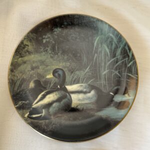 Von Wright, Heinäsorsia seinälautanen