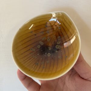 Annikki Hovisaari lehtimalja